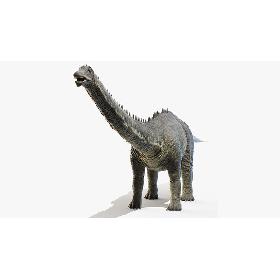 Diplodocus 3D model